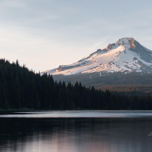 是我的爱给你加了太多滤镜