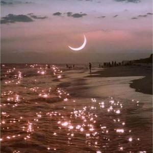 尘埃（翻自 林小柯）