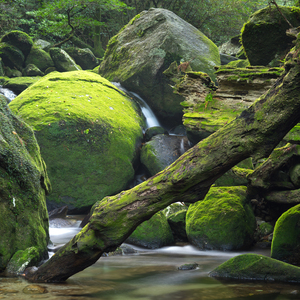 动地惊天爱恋过
