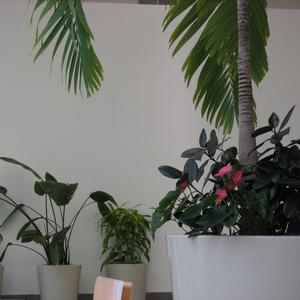 i dont want anyone else but you (demo)