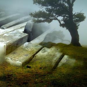 My Heart Feels Slowly Better