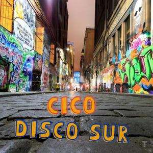 Disco Sur