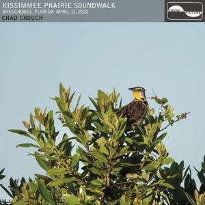 Part 29, Prairie Sonstenuto