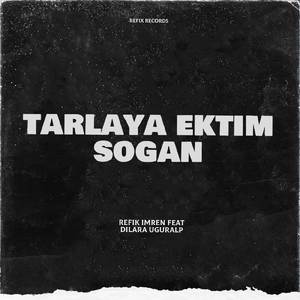 Tarlaya Ektim Techno