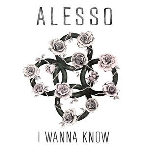 I Wanna Know (Dannic Bootleg)