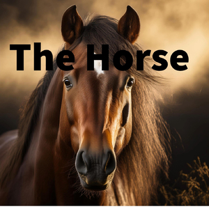 Spanish Sosa Love Song