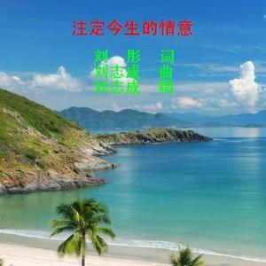 注定今生的情意