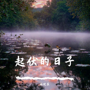 起伏的日子(完整)