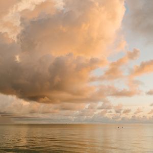 相遇也想拥抱（古筝）