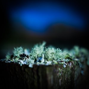 Hymn for the Tarn (Rampton Prom Remix)