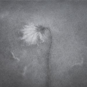 逝於深秋 / Dying Away In The Deep Fall