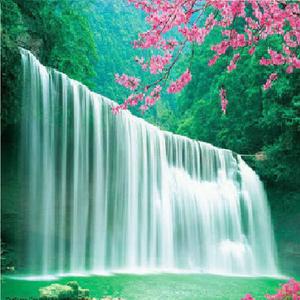 La Primavera Canta