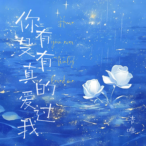 你有没有真的爱过我 (男版伴奏)