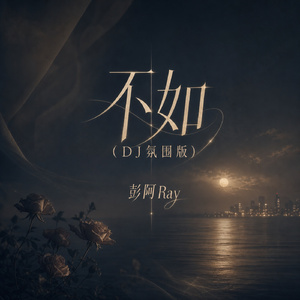 不如(DJ氛围版)