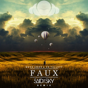 Faux (Said the Sky Remix)