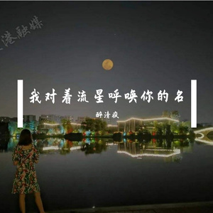 我对着流星呼唤你的名
