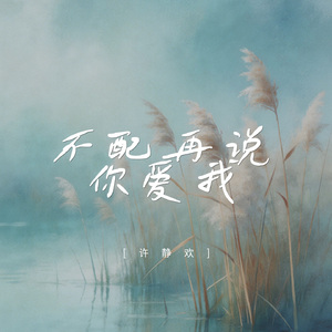 不配再说你爱我