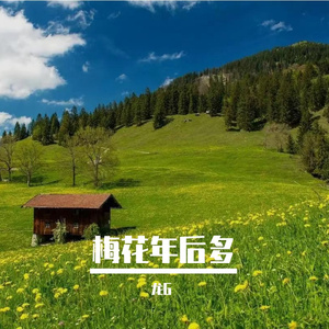 几森叛