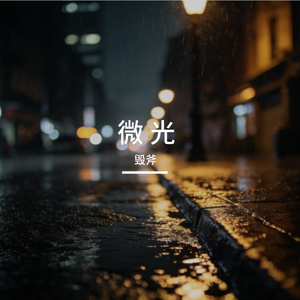 微 光