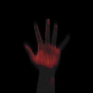 in the midst of life, we are in death