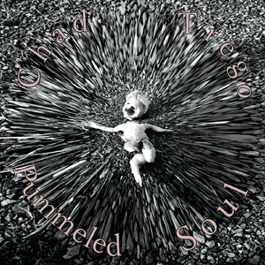 I Cannot Fly Like I Want To