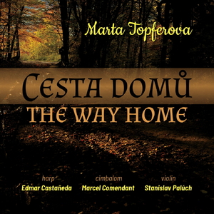 Cesta Domů