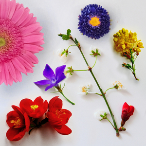 Do You Feel This Way?