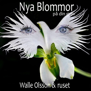 Nya blommor på din grav.