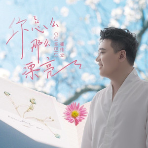 你怎么那么漂亮 (DJ默涵版)