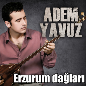 Erzurum dağları