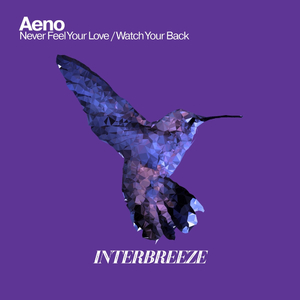 Never Feel Your Love (Original Mix)