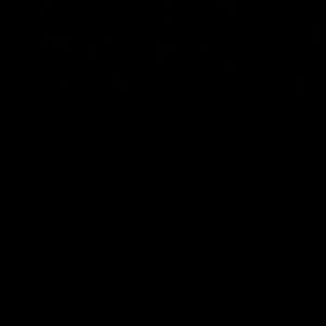 1000101924_151214_track1_151214