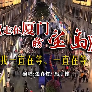 走在厦门盼宝岛