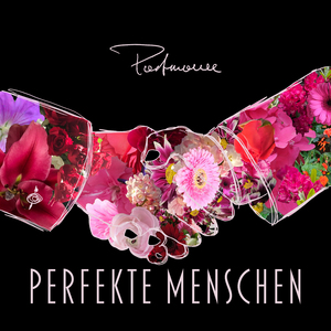 Perfekte Menschen