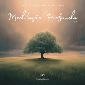 Chuva de Amor e Gratidão, Pt.15