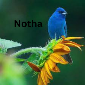 Notha