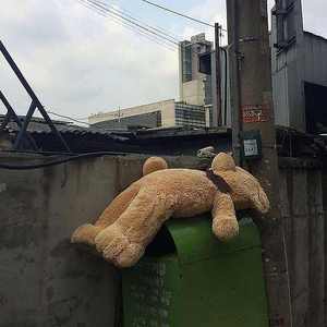 没有你我要死了❖