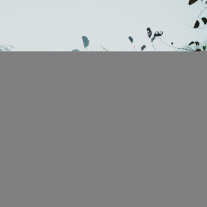 Moviéndose Hacia El Este