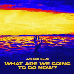 What are we going to do now? (IV)