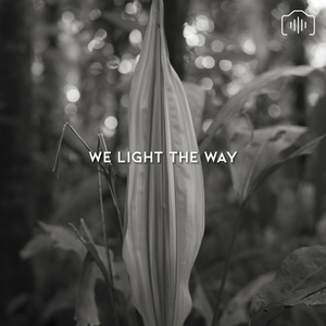 We Light The Way