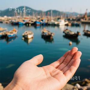 掌心的港湾