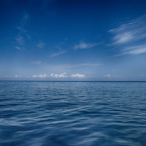 심장의 울림 (Simjang-ui Ullim)