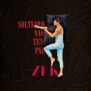 Solteiro Não Tem Paz