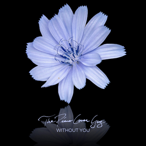 Without You (Piano Version)