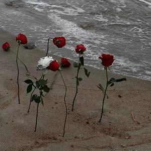 初现.prod.FRESH_ye.ForkC