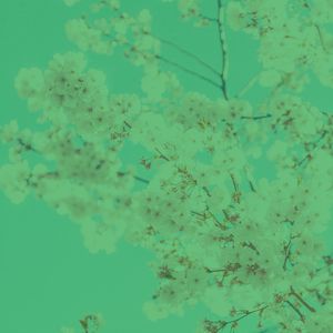 微妙的温泉心情