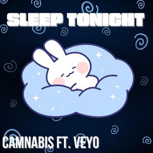 Sleep Tonight (feat. Veyo)