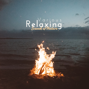 Fireplace (Sleep Relax)