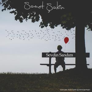 Sevdin Sandım