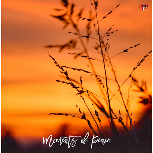 Moments of Peace